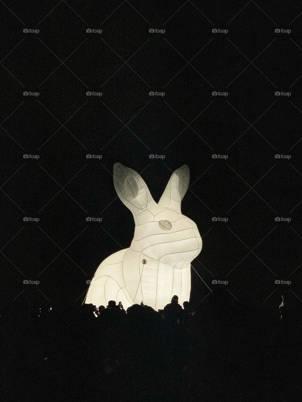 Rabbit lantern at night