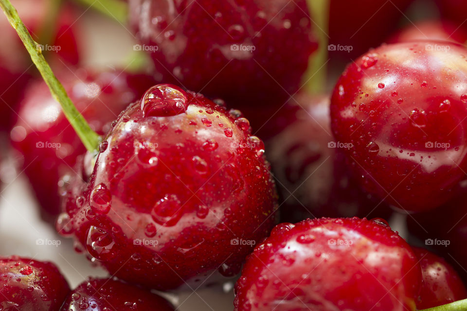 Close up of fresh cherry berries with water drops.Antioxidant, vitamin, organic berry