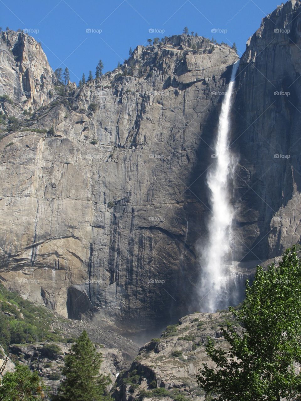 Yosemite falls. Waterfall