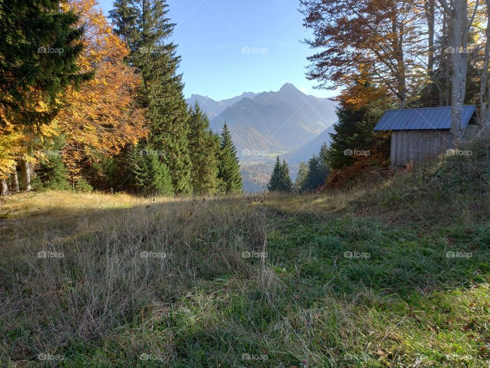 A Shed in the Mountains