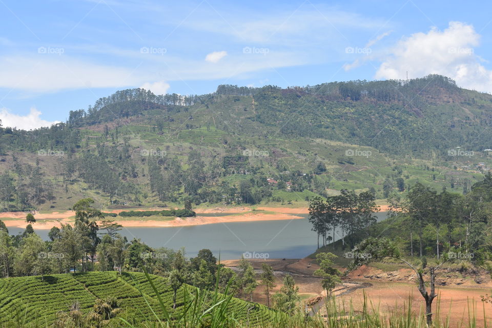 Beautiful mountain range by the side of the reservoir and tea astate