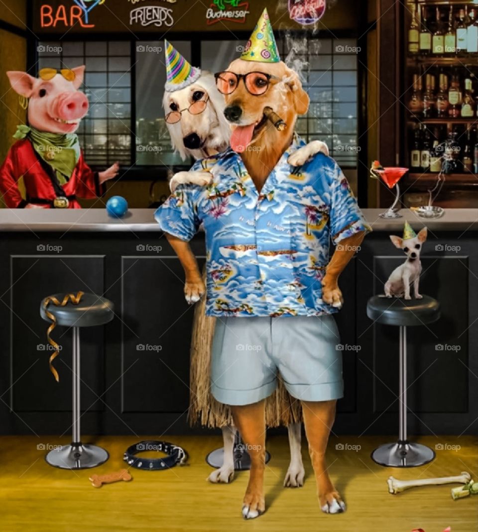 Quando un grafico si annoia