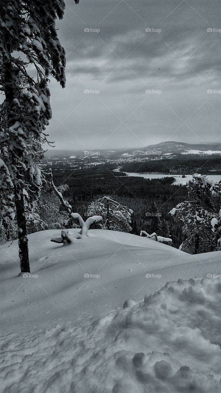 Black and white northen Sweden.