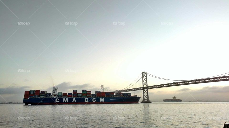 Ocean's giant cargo ship