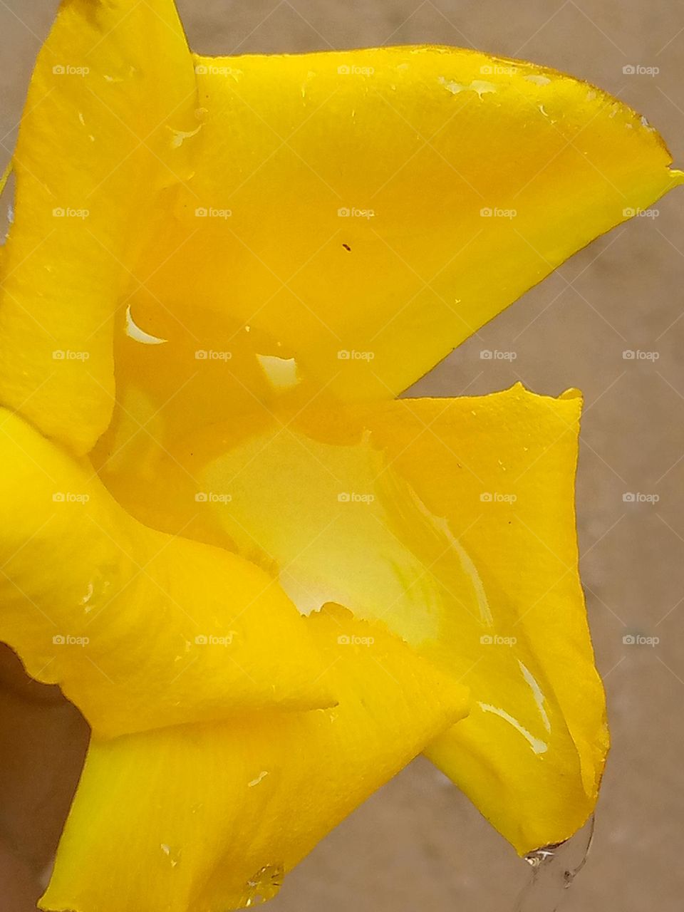 Nourish yourself with water of love to grow flowers of happiness in the garden of your heart.