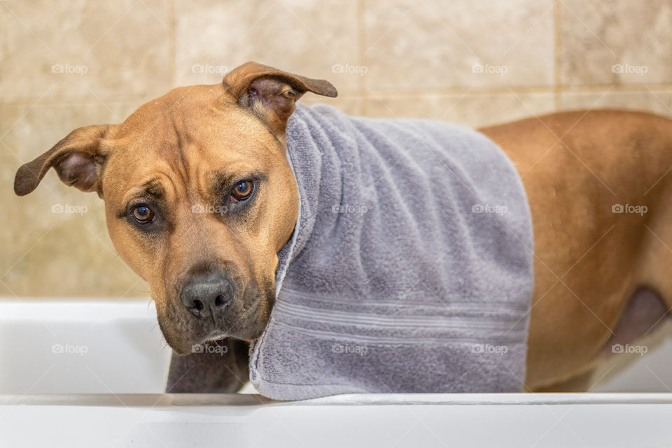 But I don't like bathtime mom