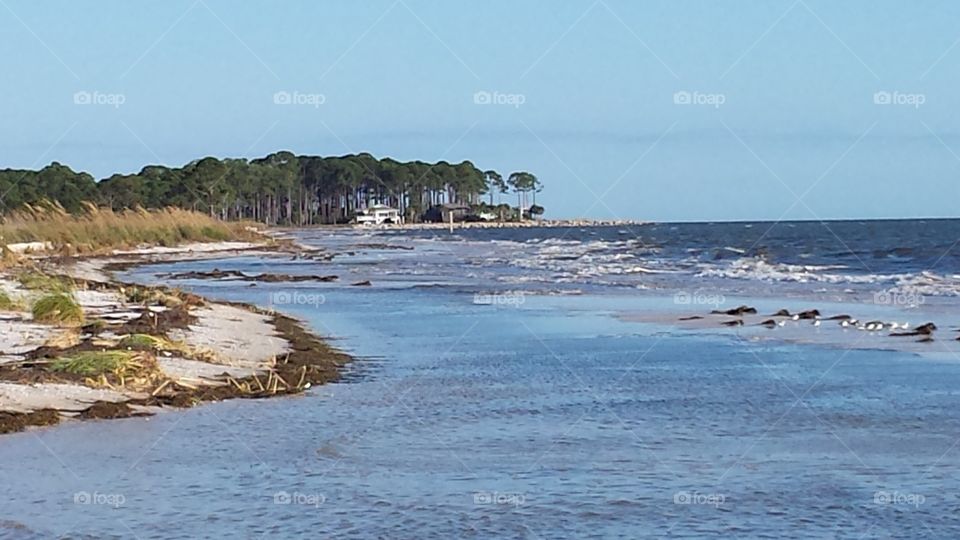 View of Florida coast