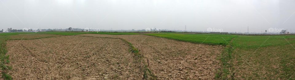beautiful cultivable land.