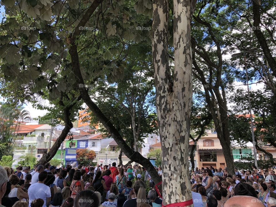 Domingo de Ramos 