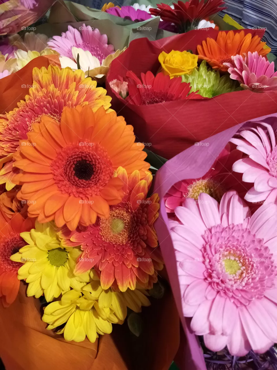 Blumen