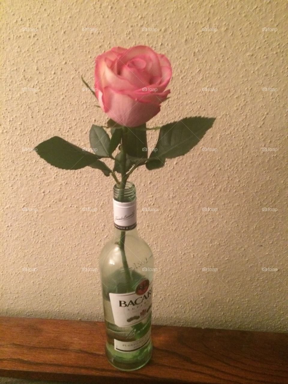 Lone rose. Rose in a rum bottle
