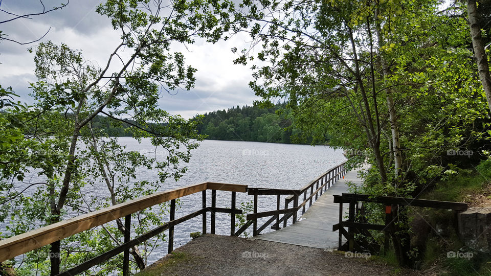 Hiking trail on wood by the lake 