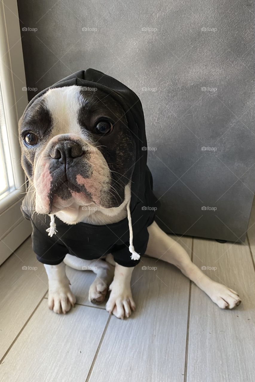 Ready for the winter 