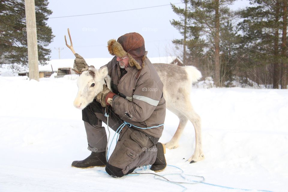 old man with reindeer