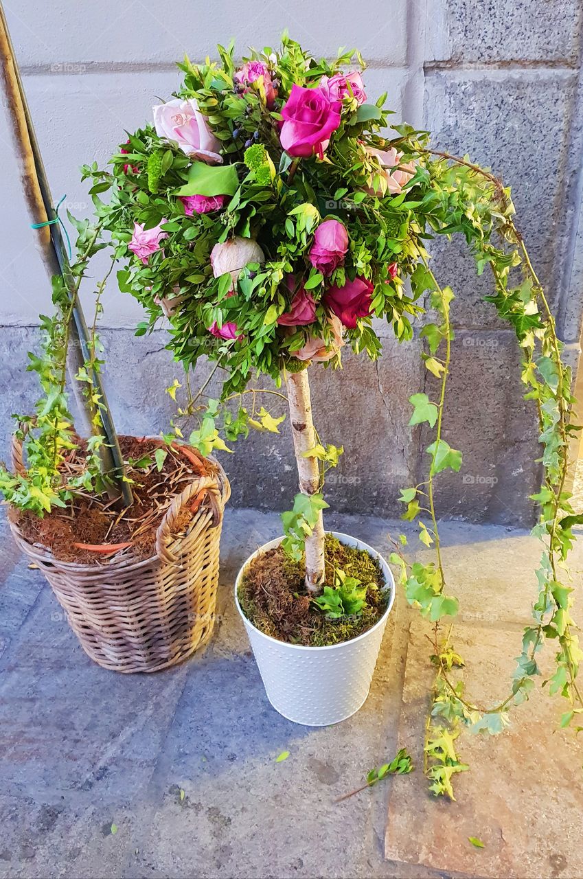 Romantic flower tree