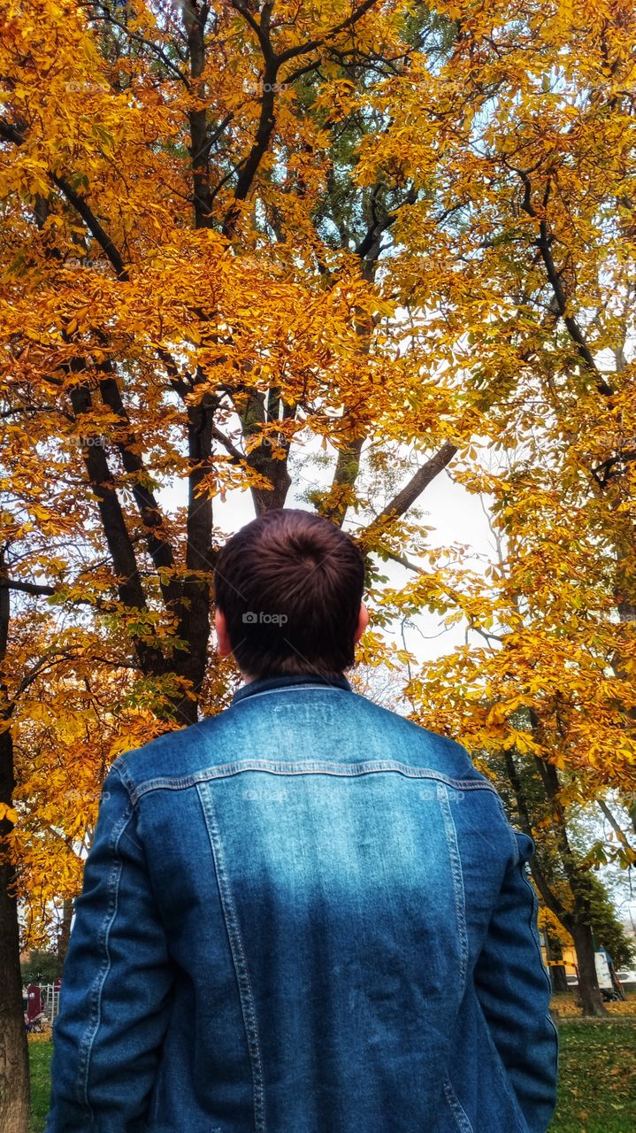 Finally came the golden Autumn. The trees have repainted the leaves and are looking forward to the Earth. This is a great time to wear a denim jacket and explore the surroundings, admiring the beauty of this time of year☺
