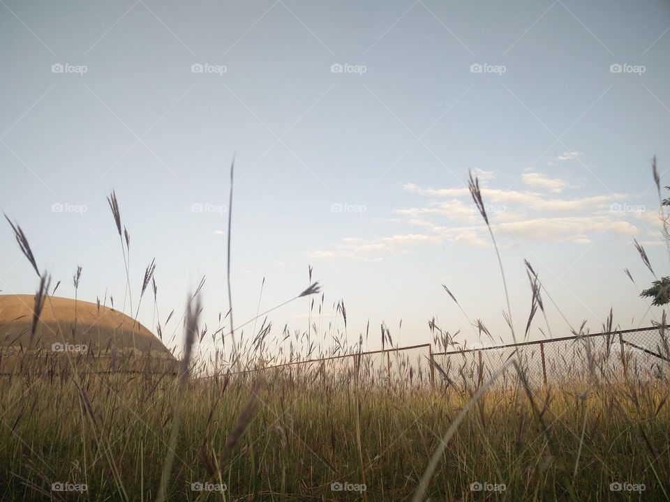 grassland beautiful view 
📸 Muneeb bhat