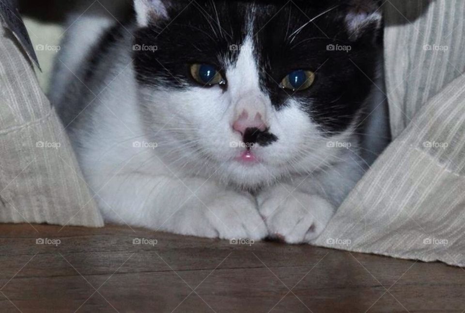 cute yellow hide look by severina1