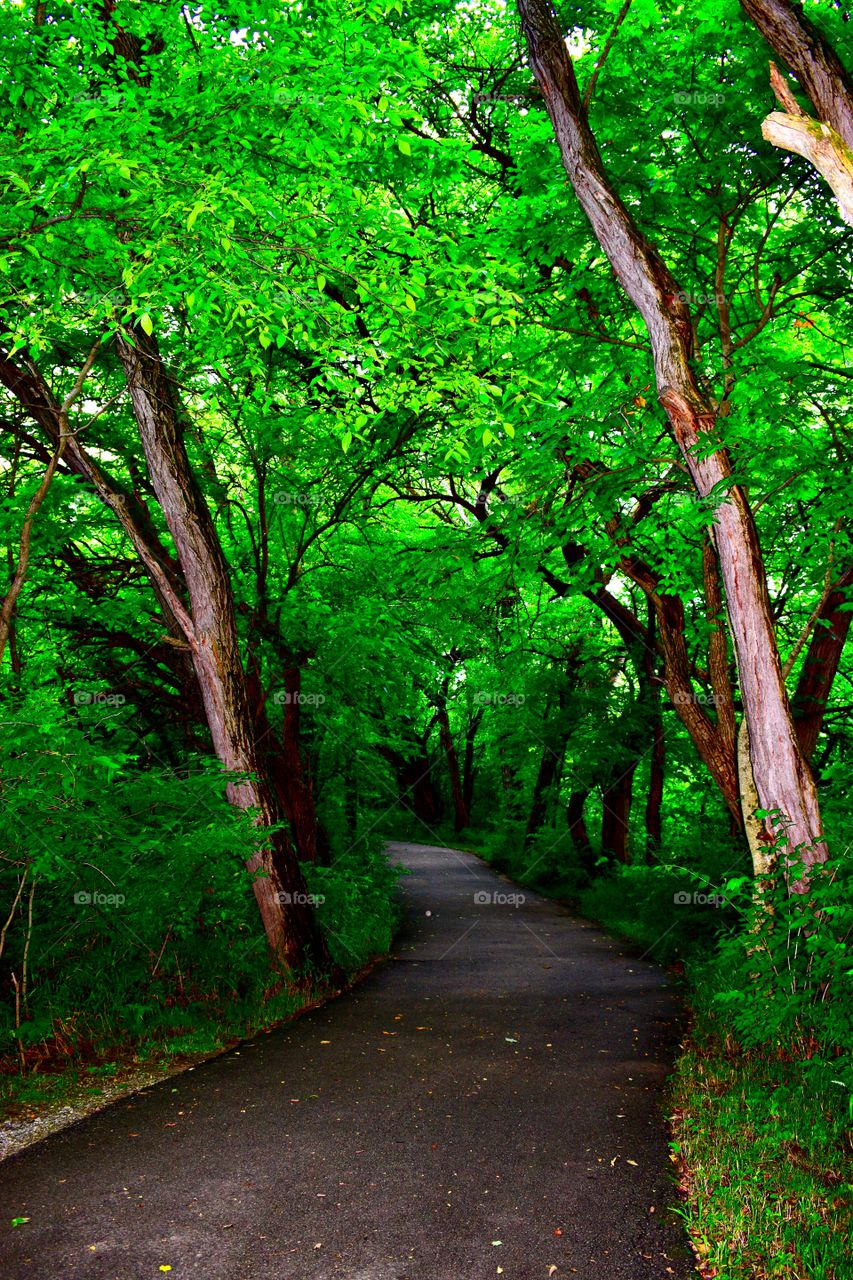 Hiking in a park in Indiana 