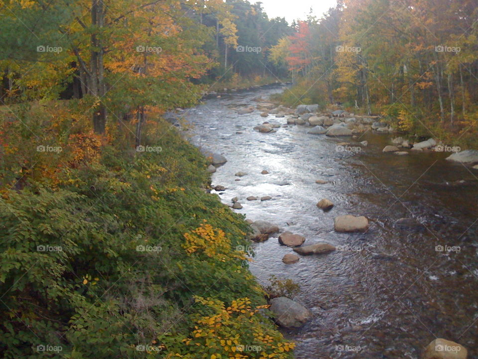 Autumn Stream Jackson 