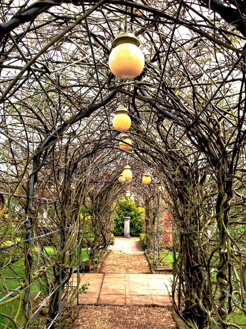 Beautiful sculpted tree arch 