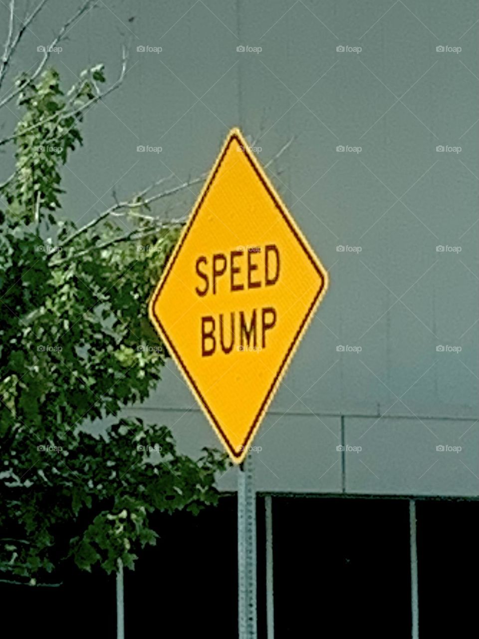 Speed bump