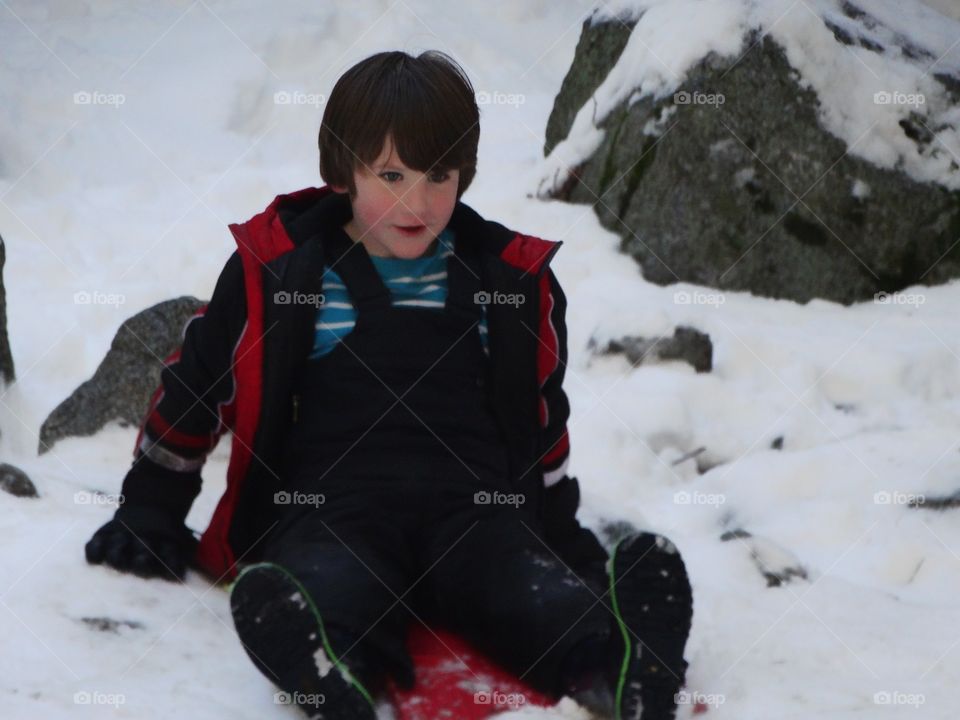 Young Boy Riding A Bobsled In The Snow