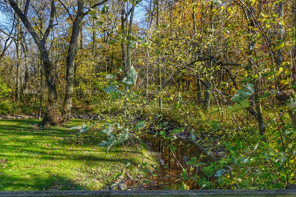 Autumn in the Park