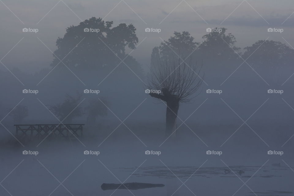 Foggy lake. early morning fog on water
