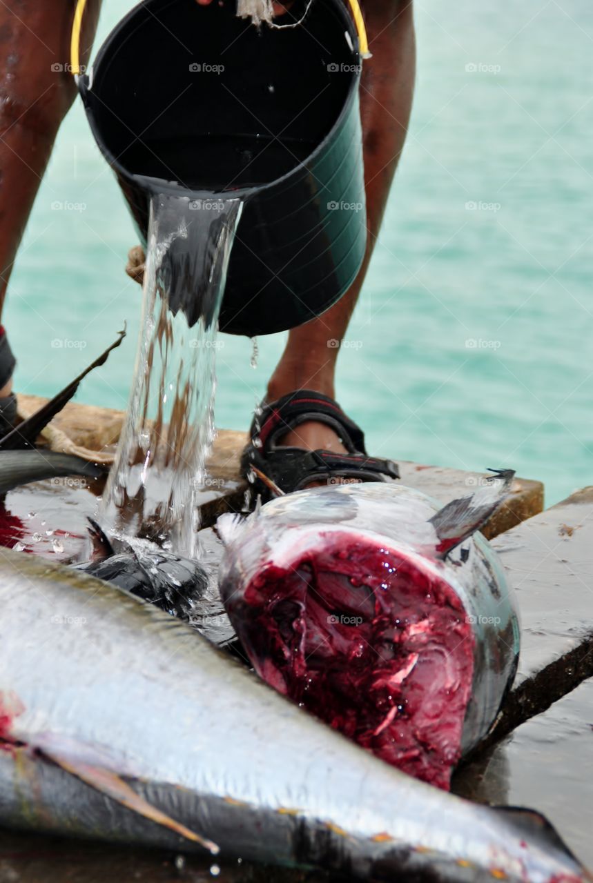 Cabo Verde, fishing