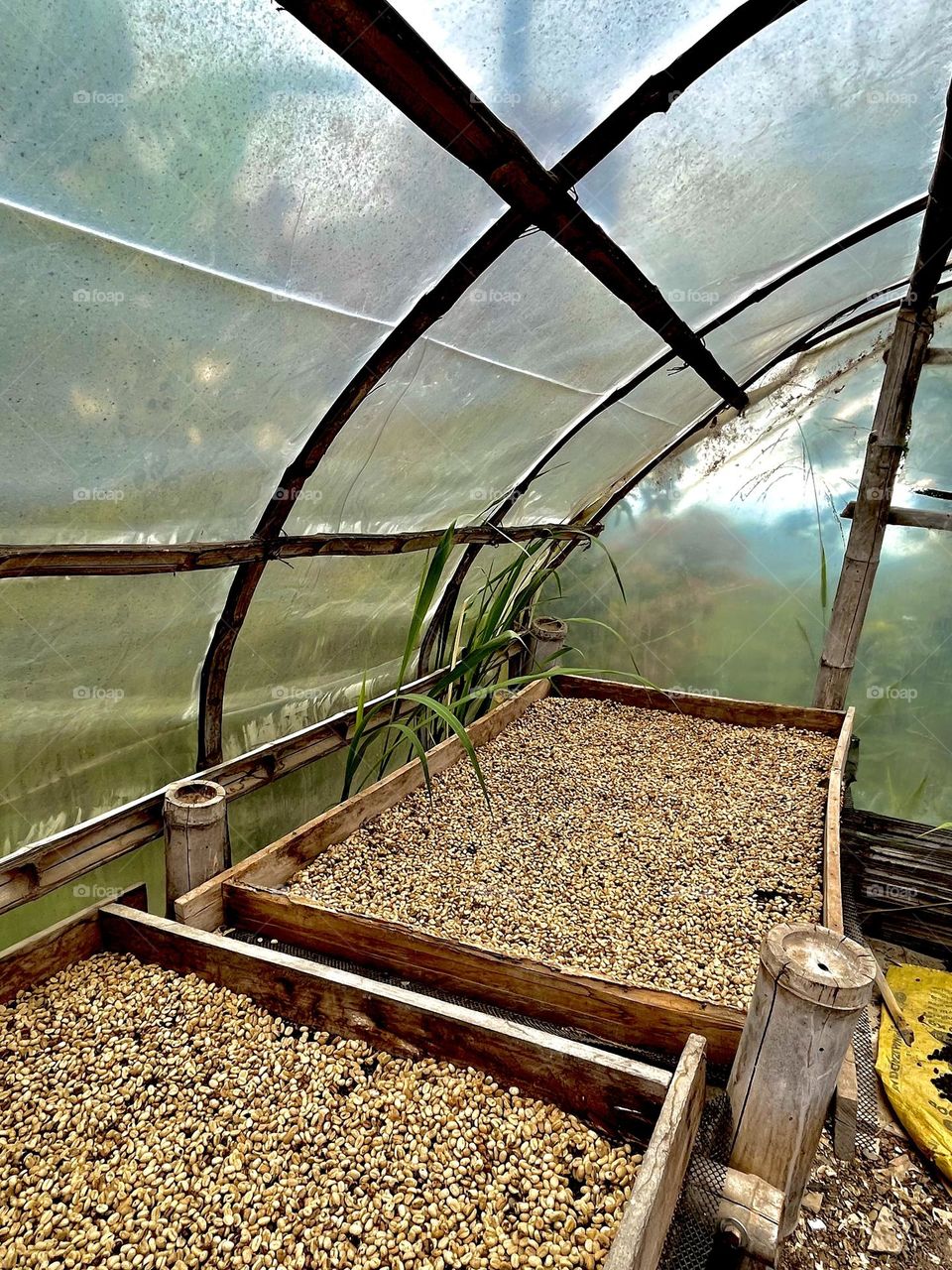 Ordinary architecture structure for process of coffee 