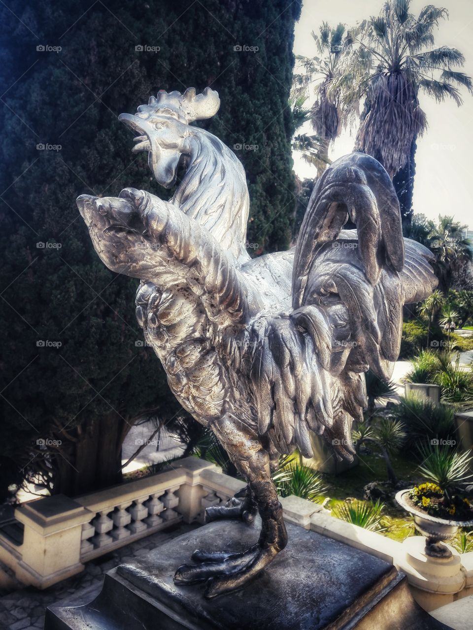 nature outdoor view spring summer