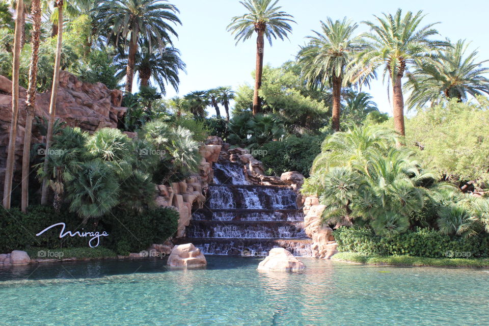 Tropical, Palm, Exotic, Water, Resort