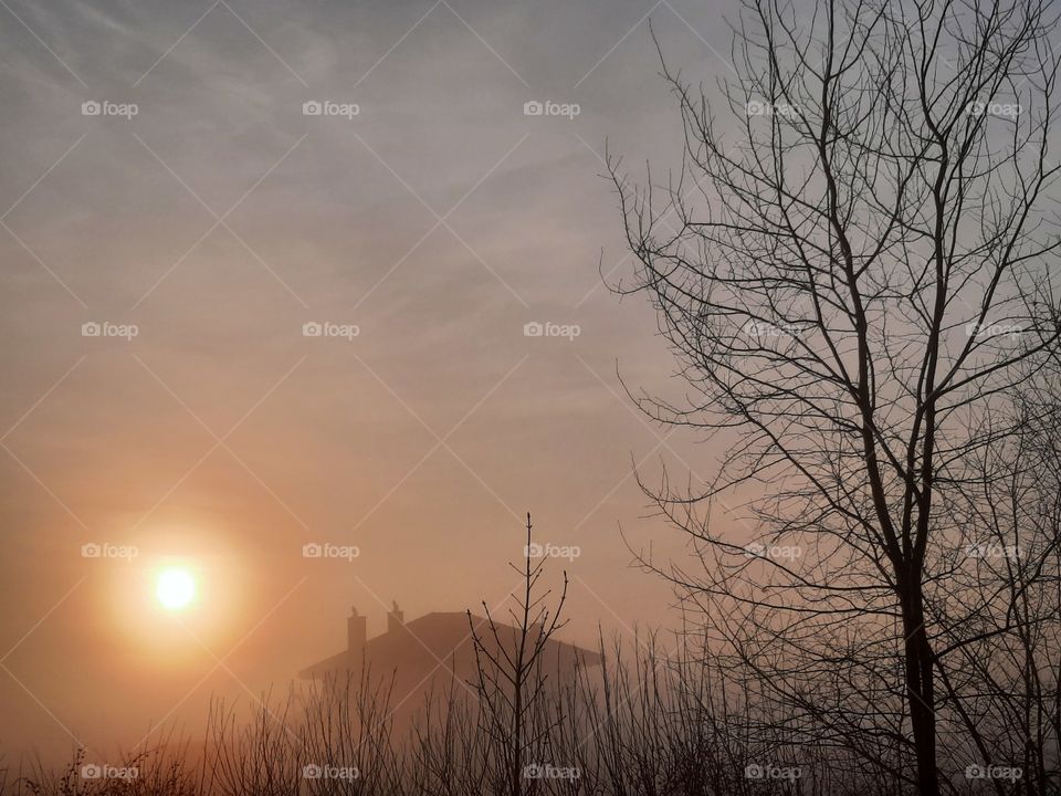 sunrise  in thick fog with hazy sun and overcast sky