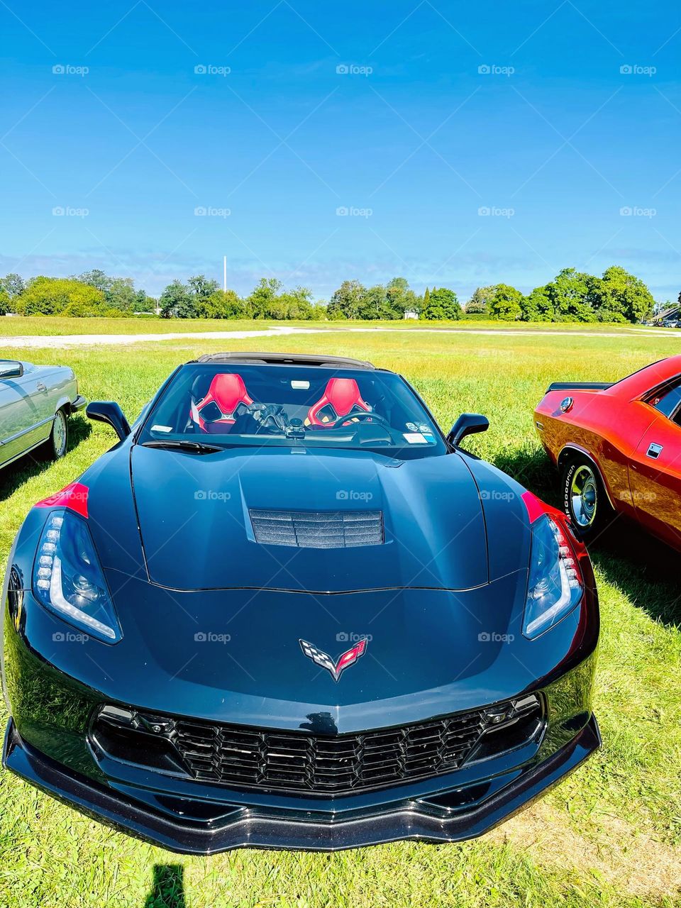 Sports car on display, sleek and beautiful. 