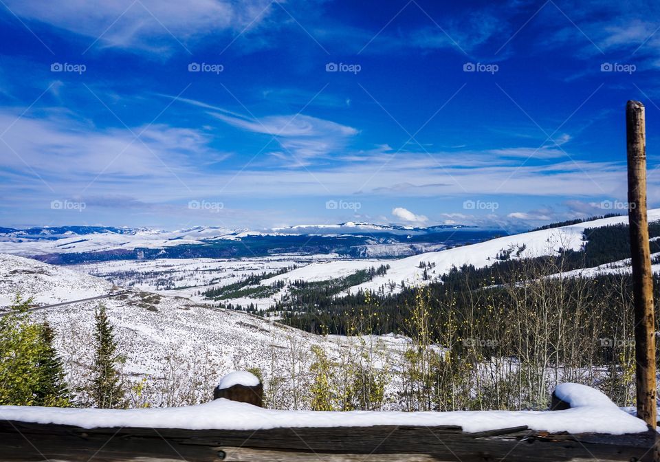 Winter in yellowstone national park