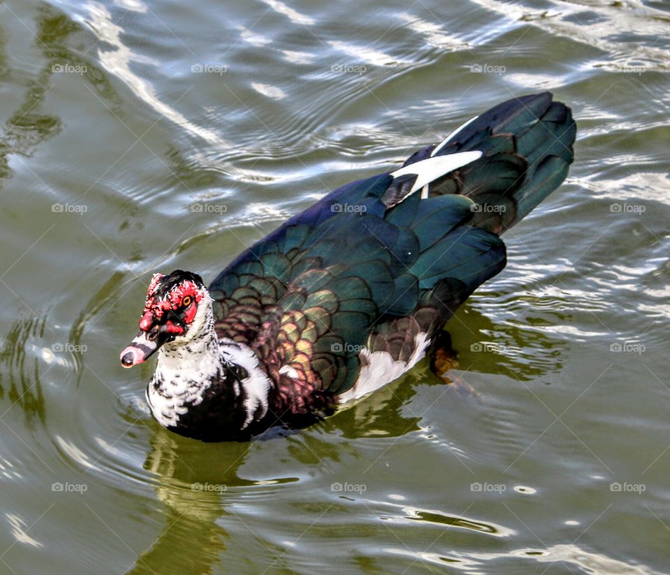 bird watching 
Mark's photography travels 
myevolutiontravel.com/marks