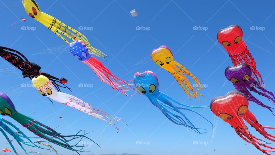 Giant kites. Giant kites, brightly colored against the blue sky