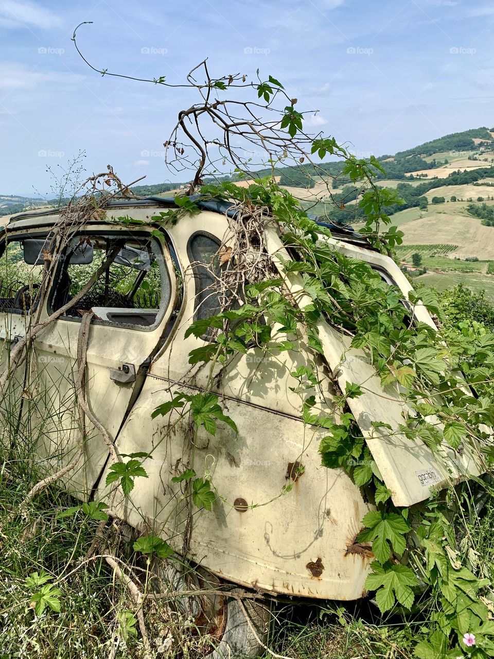 An abandoned Citröen Dyane 6 on the Apennine hills is almost completely surrounded by vegetation