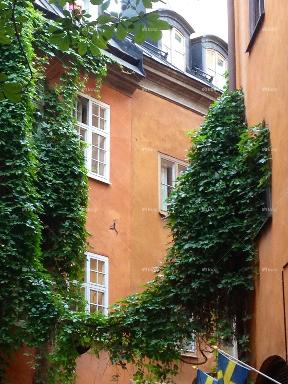Facades with greenery in the old town
