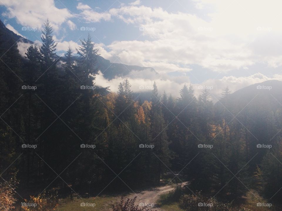 Trees, clouds, and mountains in Gloden, BC
