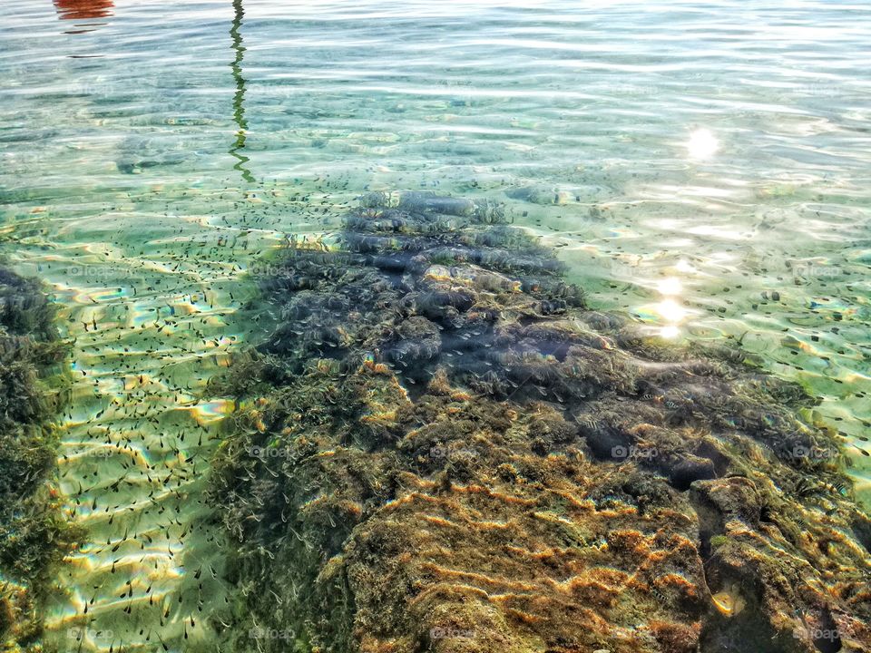 "Take a course in good water and air; and in the eternal youth of Nature you may renew your own. Go quietly, alone; no harm will befall you."
-John Muir