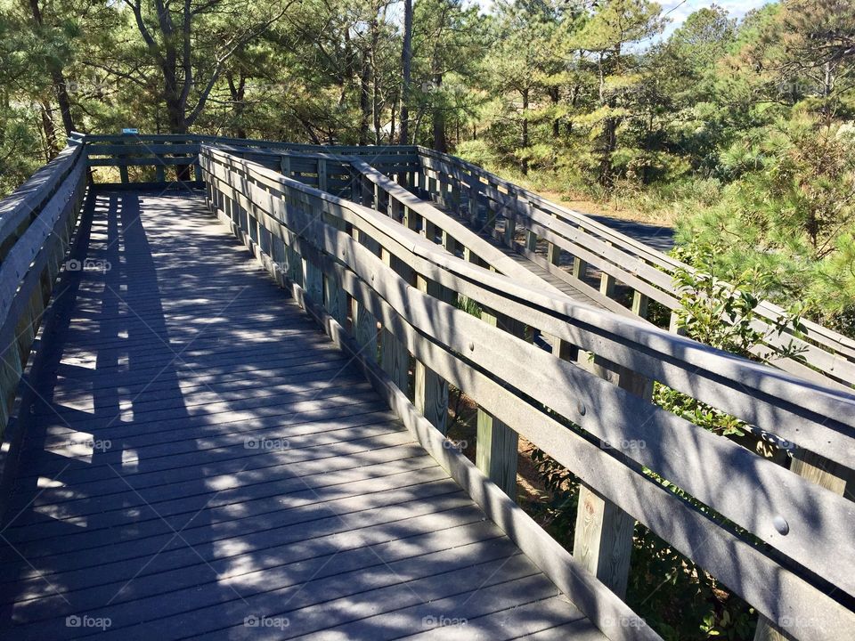 Nature observatory in Cape Henlopen State Park, Delaware. 