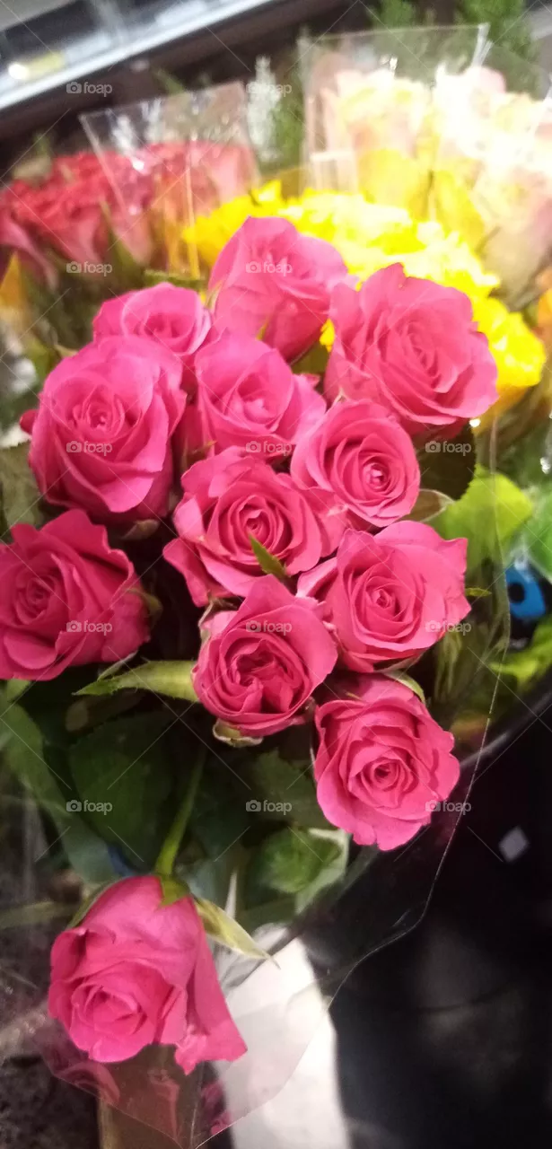 Blumen