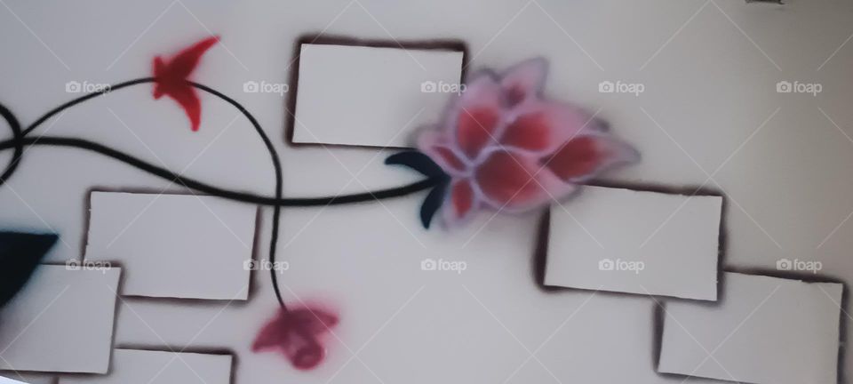 smoe photos by camera