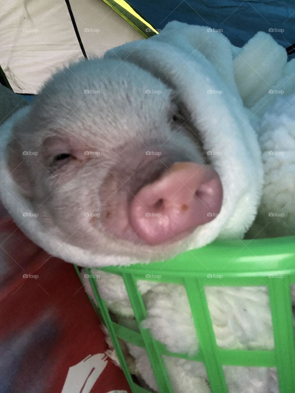 I look to you for loving nurture 