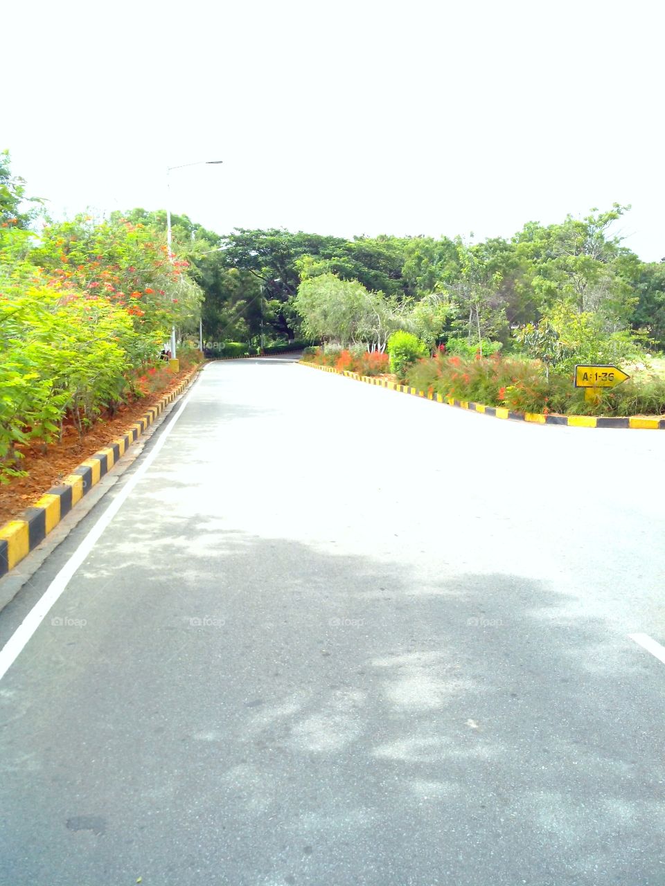 Road