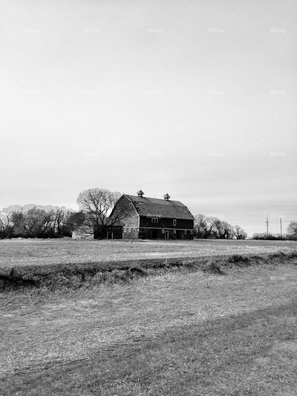 Old barn 