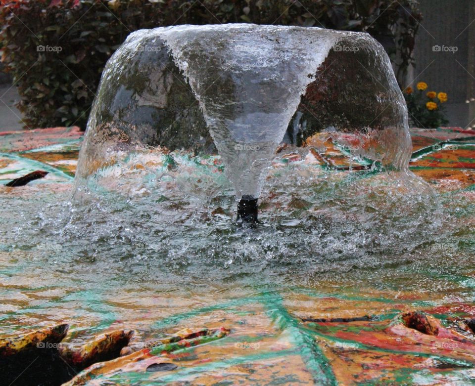 fountain