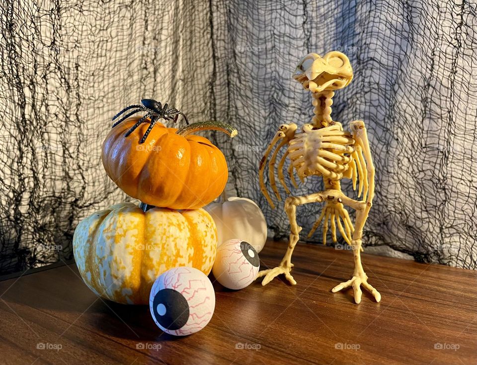 Halloween composition with mini pumpkins, spider, eyes balls and bird skeleton 